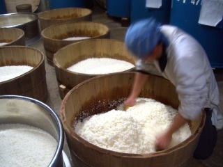 22.　うますぎてゴメン！元気になれてゴキゲン！ぷくぷく発酵術