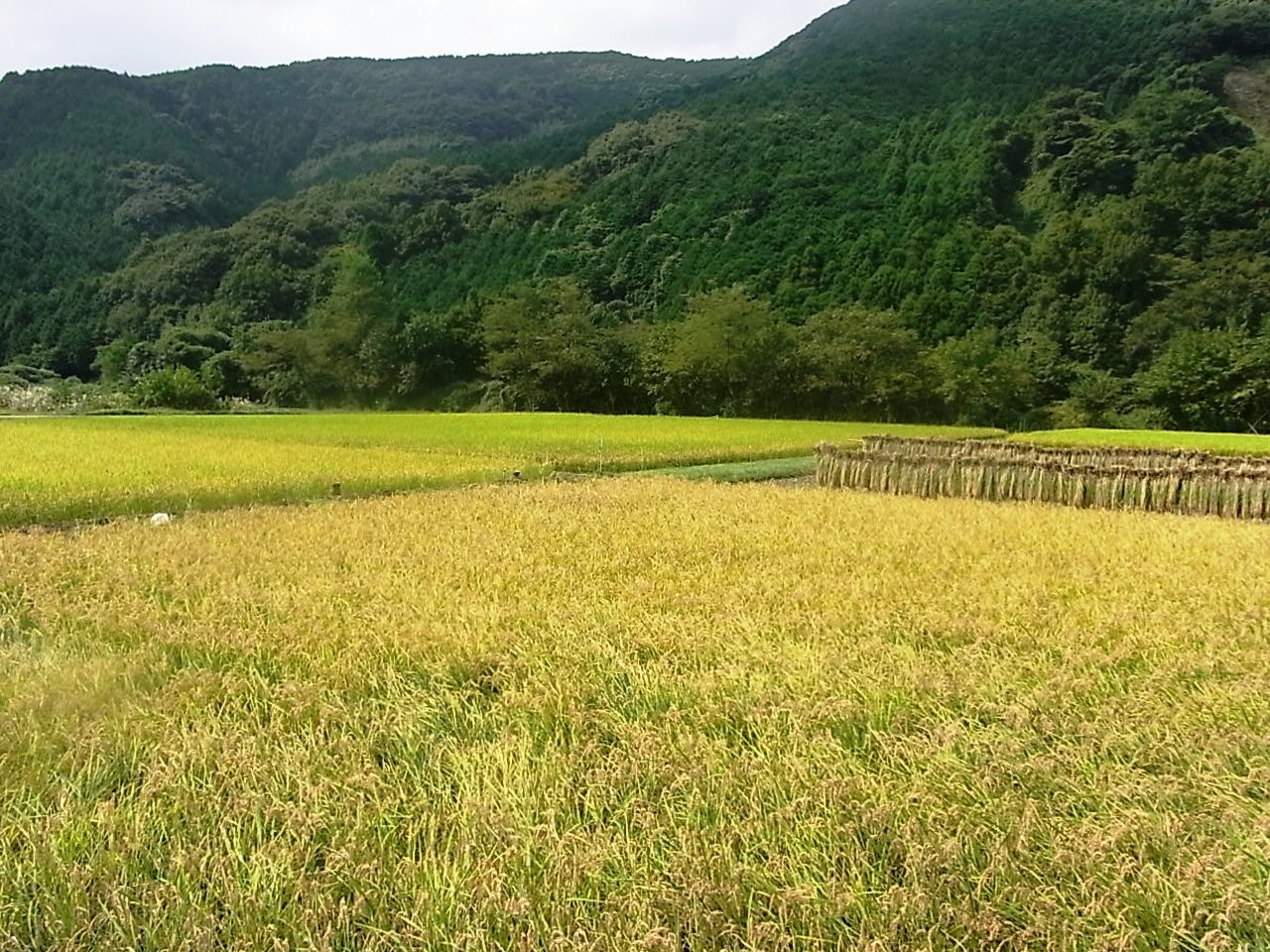 現場を歩き、考える　秋の訪問ツアー　脱原発の地域をつくろう！